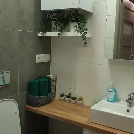 Pod Parkowa - Krynica-zdroj Apartman *